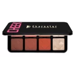 Character Pro Highlighter & Blush Palette C A201 3