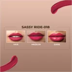 Colorbar Powerkiss Vegan Matte Lipcolor Sassy Ride 5