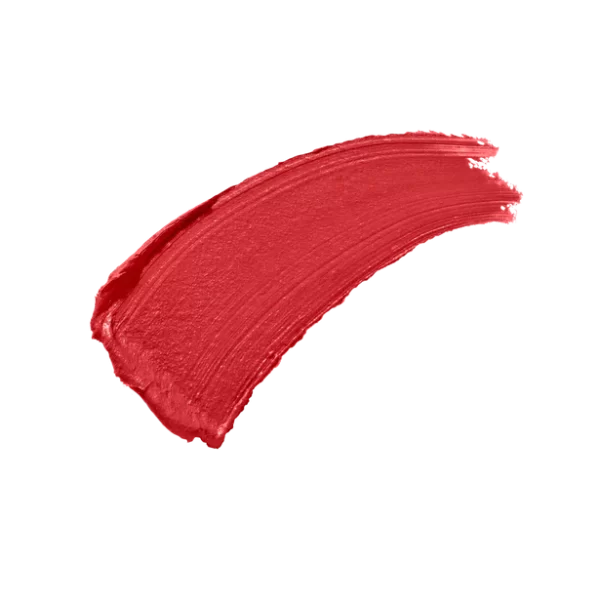 Velvet matte lipstick preety please 2