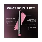 Lakme Absolute Explore Eye Shadow Stick Hawaiian Pink C