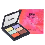 Nykaa Skingenius Conceal & Correct Palette Correct & Contour 4