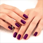 Lakme Absolute Gel Stylist Nail Color Poison