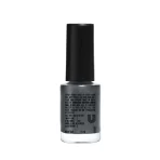 Lakme True Wear Color Crush Nail Polish 14