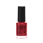 Lakme True Wear Color Crush Nail Polish 401 2