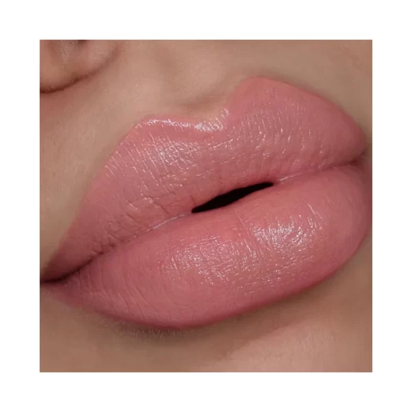 L.a. Girl Pretty & Plump Lipstick Pout Please 3