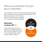 Minimalist Spf 30 Lip Balm 5