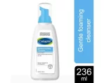 Gentle Foaming Cleanser2