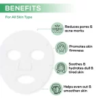 Renee Cosmetics Salicylic Acid Sheet Mask 2