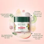 Biotique Fruit Brightening Lip Balm2