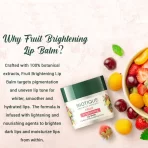 Biotique Fruit Brightening Lip Balm4