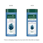 Biotique Ocean Kelp Anti Hair Fall Shampoo For Hair Growth Therapy1