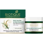 Biotique Rice Water & Niacinamide Gel Moisturizer1