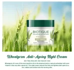 Biotique Wheatgerm Anti Ageing Night Cream3