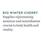 Biotique Winter Cherry Rejuvenating Body Lotion2