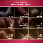 L'oreal Paris Excellence Creme Triple Care Hair Color 3 Dark Brown4