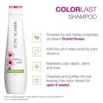 Matrix Biolage Colorlast Professional Shampoo, Helps Protect Colored Hair & Maintain Vibrancy2