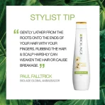 Matrix Biolage Smoothproof Professional Shampoo For Dry And Frizzy Hair, 72 Hrs Frizz Control3