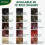 Streax Cream Hair Colour With 100% Grey Coverage & No Ammonia 7.3 Golden Blonde5