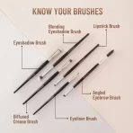 Swiss Beauty Professional Makeup Brush Set Of 123