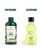 The Body Shop Moringa Shower Gel1