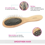 Vega Hair Brush (r2 Cb)2