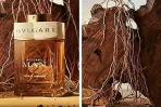 Bvlgari Man Terrae Essence For Men 2