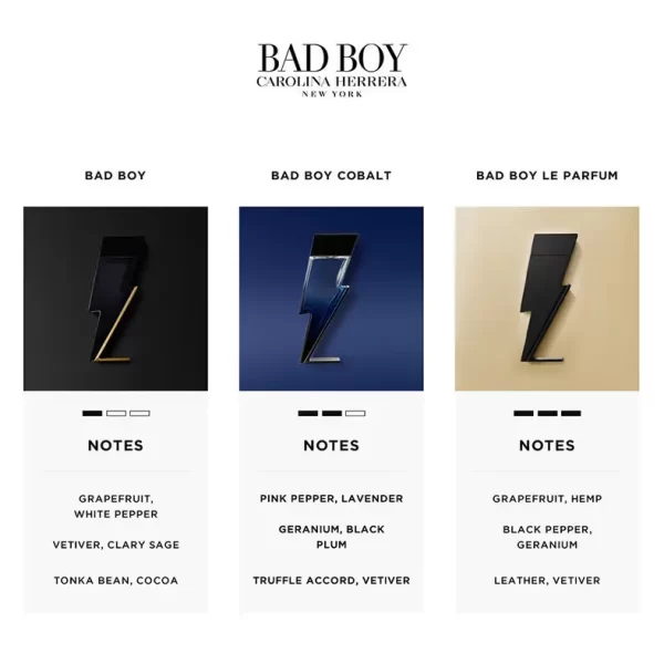 Carolina Herrera Bad Boy Eau De Toilette (2)